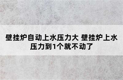 壁挂炉自动上水压力大 壁挂炉上水压力到1个就不动了